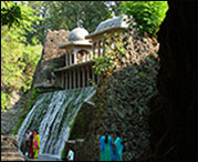 Rock Garden Rock Garden